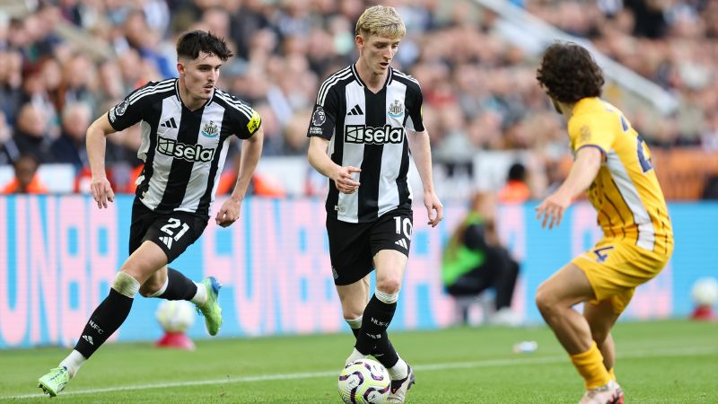 Bảng tỷ lệ kèo trận Newcastle United vs Brighton & Hove